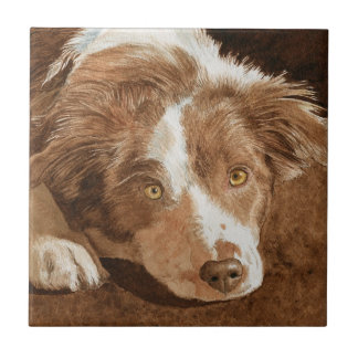 Wren the Border Collie Pup Tile