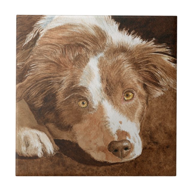 Wren the Border Collie Pup Tile (Front)