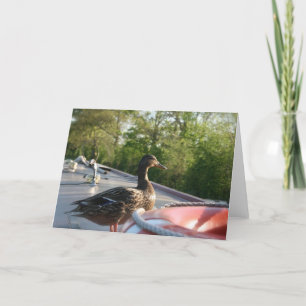 Wrenbury Duck Llangollen Canal Notecard