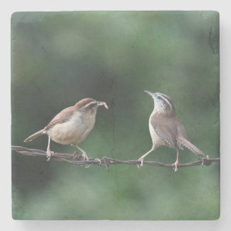 Wrens Coaster
