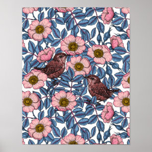 Wrens in the roses poster