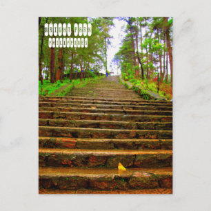 Wright Park of Baguio Postcard