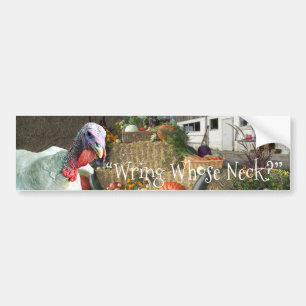 “Wring Whose Neck?” Thanksgiving Holiday Bumper Sticker