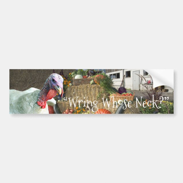 “Wring Whose Neck?” Thanksgiving Holiday Bumper Sticker (Front)