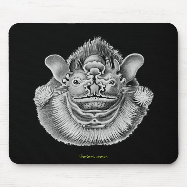 Wrinkle-faced Bat Mouse Mat (Front)