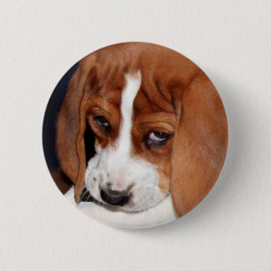 Wrinkled Puppy 6 Cm Round Badge