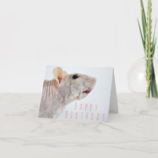 Wrinkled Rat Birthday Card