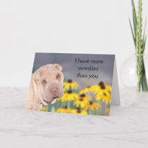 Wrinkled Shar Pei Birthday Card