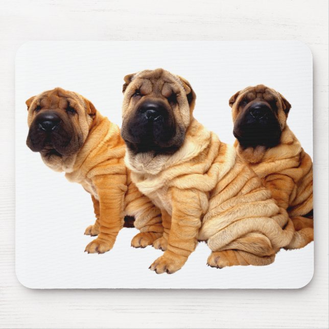 Wrinkles Are Beautiful Mousepad (Front)