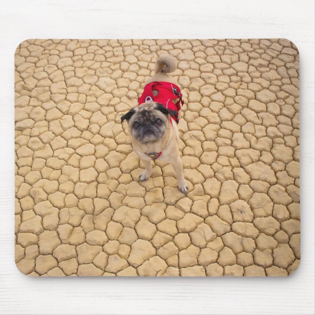 "Wrinkles on Cracks" Funny Adventure Pug Mouse Mat (Front)