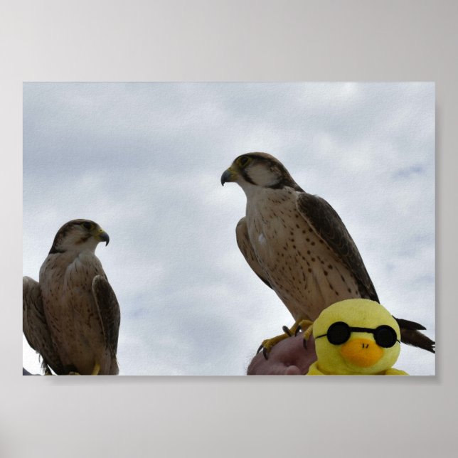 Wrong Place Wrong Time Poster (Front)