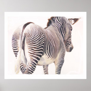 "Wrong Way" Zebra Wildlife Watercolor Poster