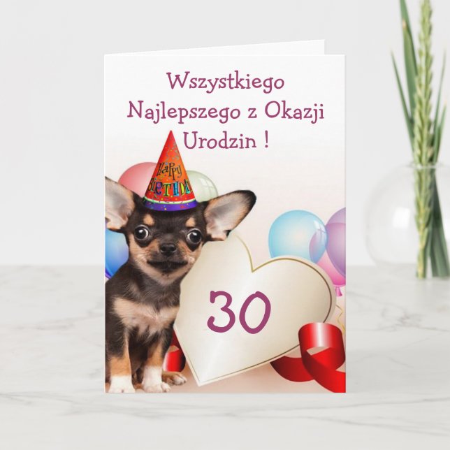 Wszystkiego Najlepszego Birthday Chihuahua card (Front)