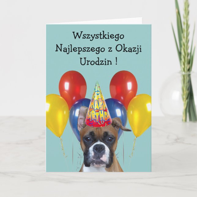 Wszystkiego Najlepszego boxer dog greeting card (Front)