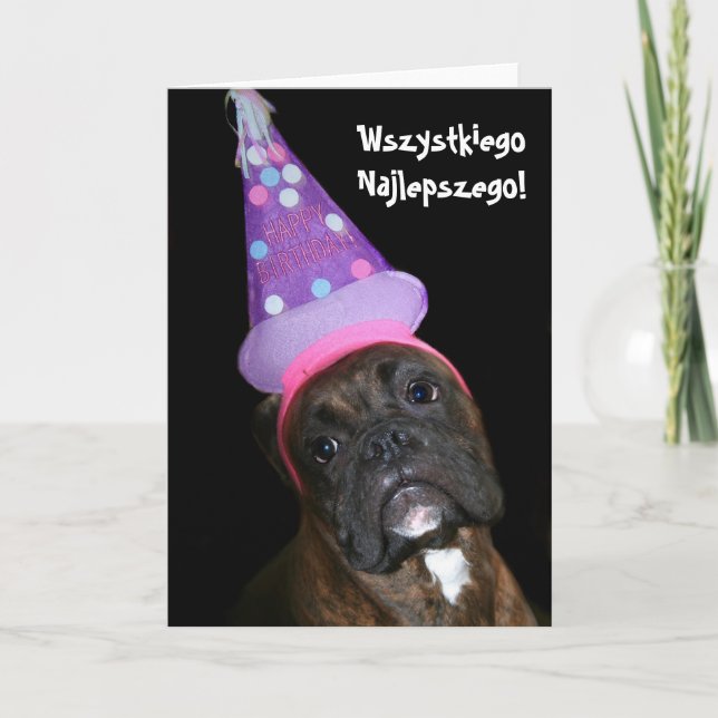 Wszystkiego Najlepszego Polish Birthday boxer card (Front)