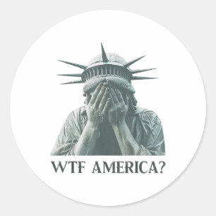 Wtf America Statue Of Liberty Cry  Classic Round Sticker