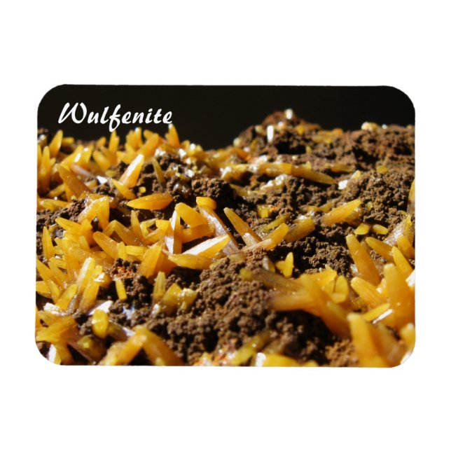 Wulfenite Mineral Photo Magnet (Horizontal)