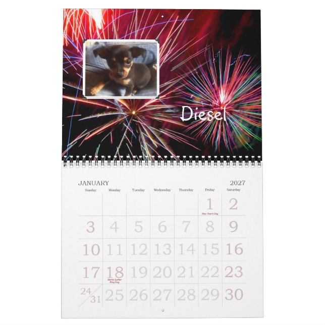 Wunderchins Pets 2012 calendar (Jan 2027)