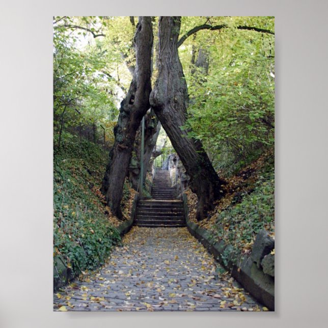 Wurzburg, Germany Poster (Front)