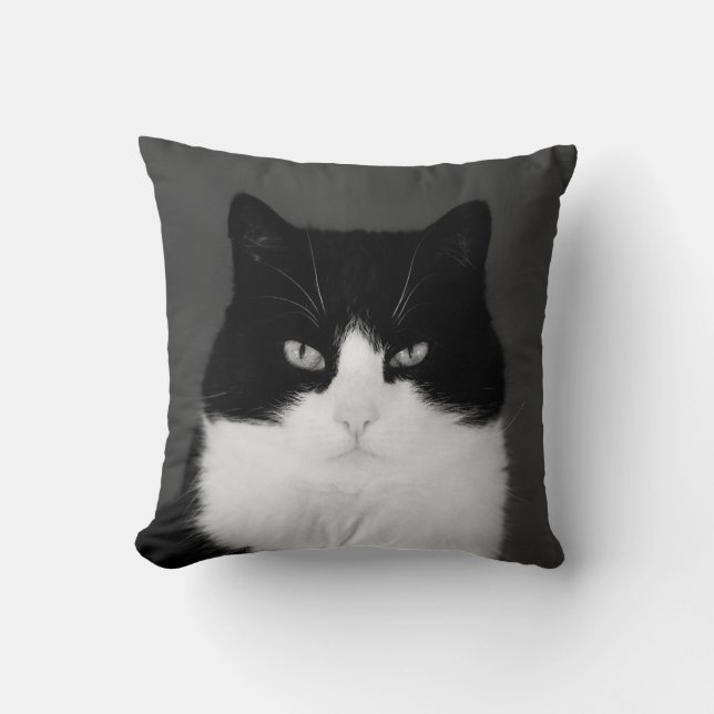 Wu's Cushion (Front)