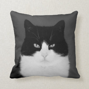 Wu's Cushion