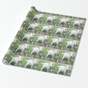 WV Scenic Wrapping Paper Photo 5