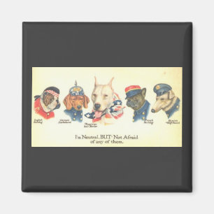 ww1 magnet