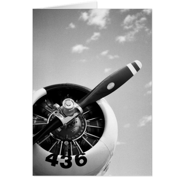 WW2 Fighter Plane (Front)