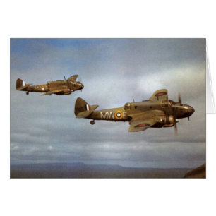 WW2 Historic Airplanes in Flight