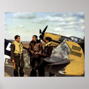 WWII German ME-109 Pilots Poster