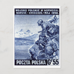 WWII Polish Army in Narvik, Norway Postcard