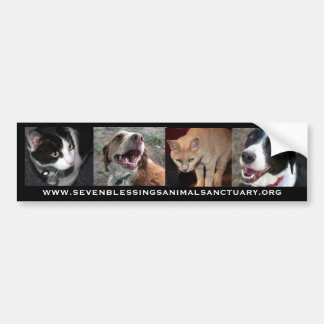 www.sevenblessingsanimalsanctuary.org bumper sticker