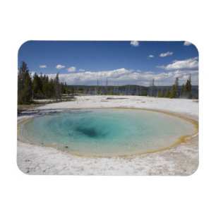 WY, Yellowstone National Park, West Thumb Geyser Magnet