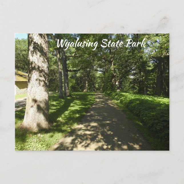 Wyalusing State Park P Postcard (Front)