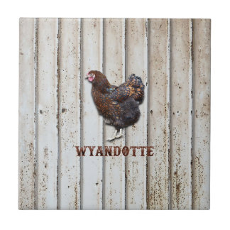 Wyandotte Chicken Tile