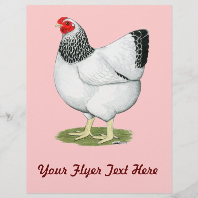 Wyandotte:  Columbian Hen (Front)