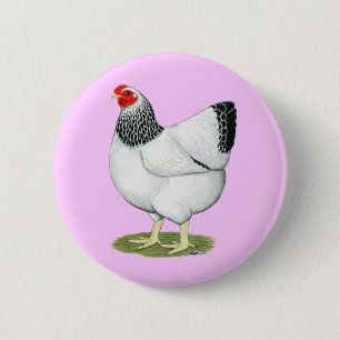 Wyandotte: Columbian Hen 6 Cm Round Badge