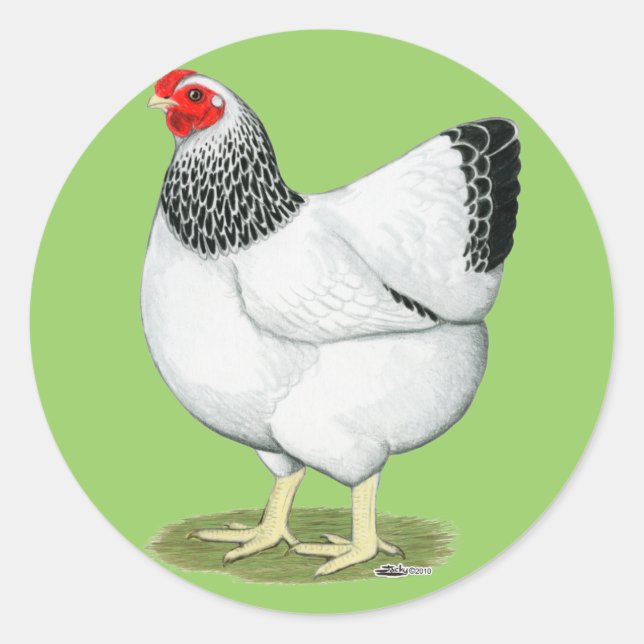 Wyandotte:  Columbian Hen Classic Round Sticker (Front)