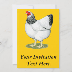 Wyandotte:  Columbian Hen Invitation
