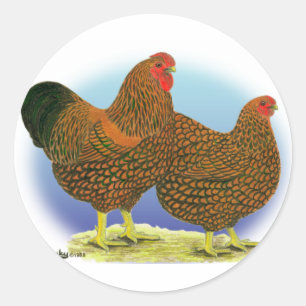 Wyandotte:  Golden-laced Pair Classic Round Sticker