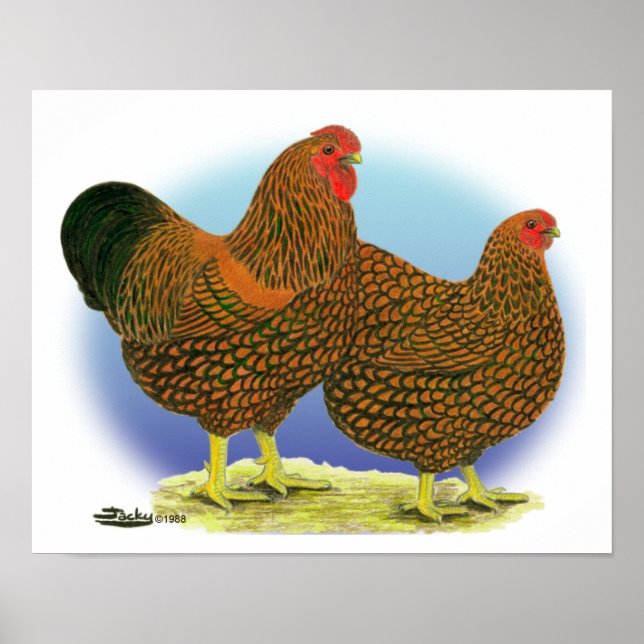 Wyandotte:  Golden-laced Pair Poster (Front)