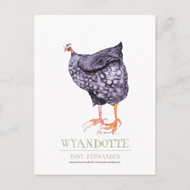 WYANDOTTE HEN, tony fernandes Postcard (Front)