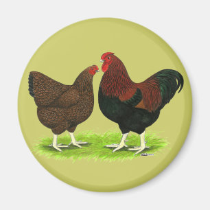 Wyandotte:  Partridge Pair Magnet