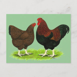 Wyandotte:  Partridge Pair Postcard