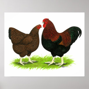 Wyandotte:  Partridge Pair Poster