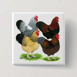 Wyandotte:  Rooster Assortment 15 Cm Square Badge