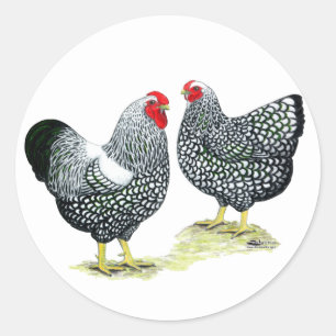 Wyandottes Silver-laced Pair Classic Round Sticker