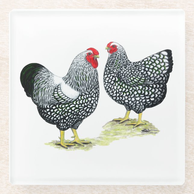 Wyandottes Silver-laced Pair Glass Coaster (Front)