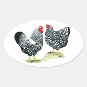 Wyandottes Silver-laced Pair Oval Sticker