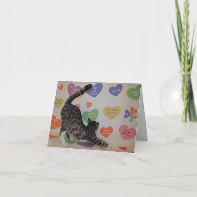 Wyatt The Cat's Conversation Hearts Valentine's Holiday Card (Front)
